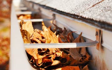 Elmers Green gutter cleaning companies