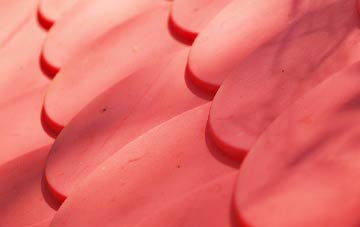 Elmers Green plastic roof costs