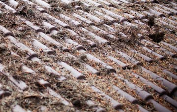 Elmers Green roof cleaning companies